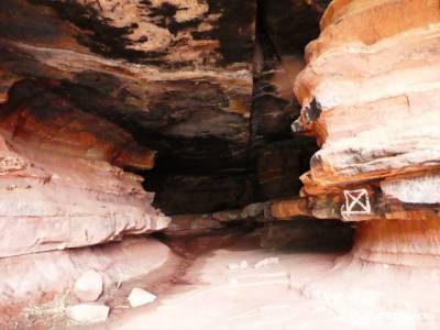 Daroca Salvaje_Gallocanta-Pinsapar de Orcajo; subida al moncayo lagunas neila puerto navafria foces 